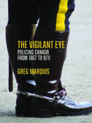 cover image of The Vigilant Eye